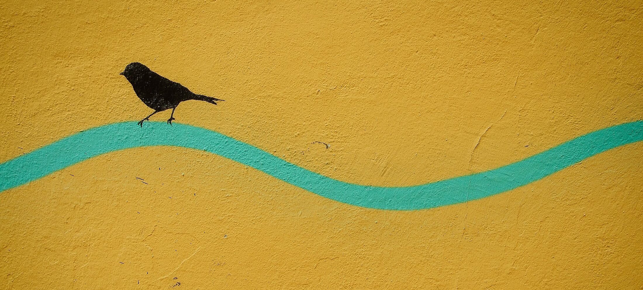 Wandbild: Eine Amsel sitzt auf einen grünen Wellenlinie auf einem gelben Hintergrund.